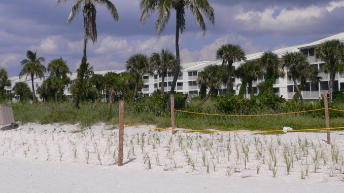 Der Strand Captiva Beach