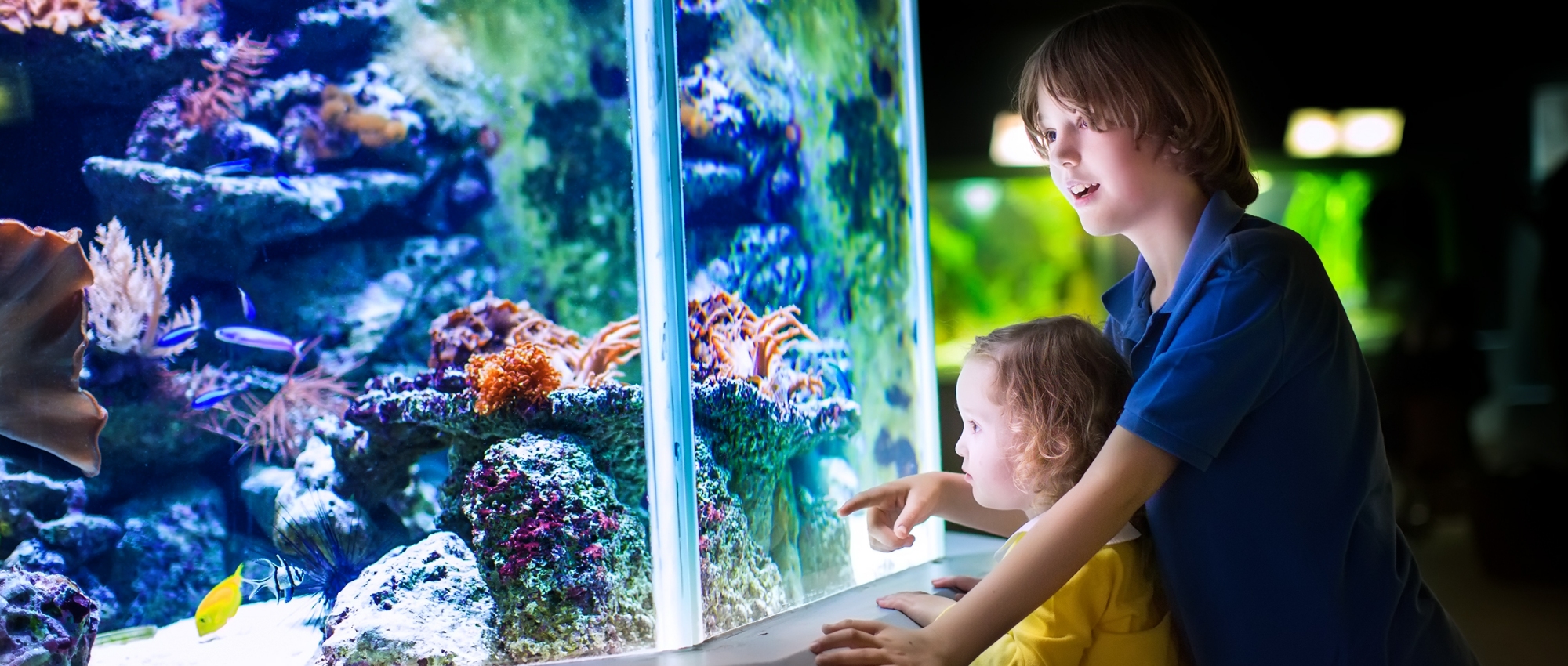 The Florida Aquarium Tampa