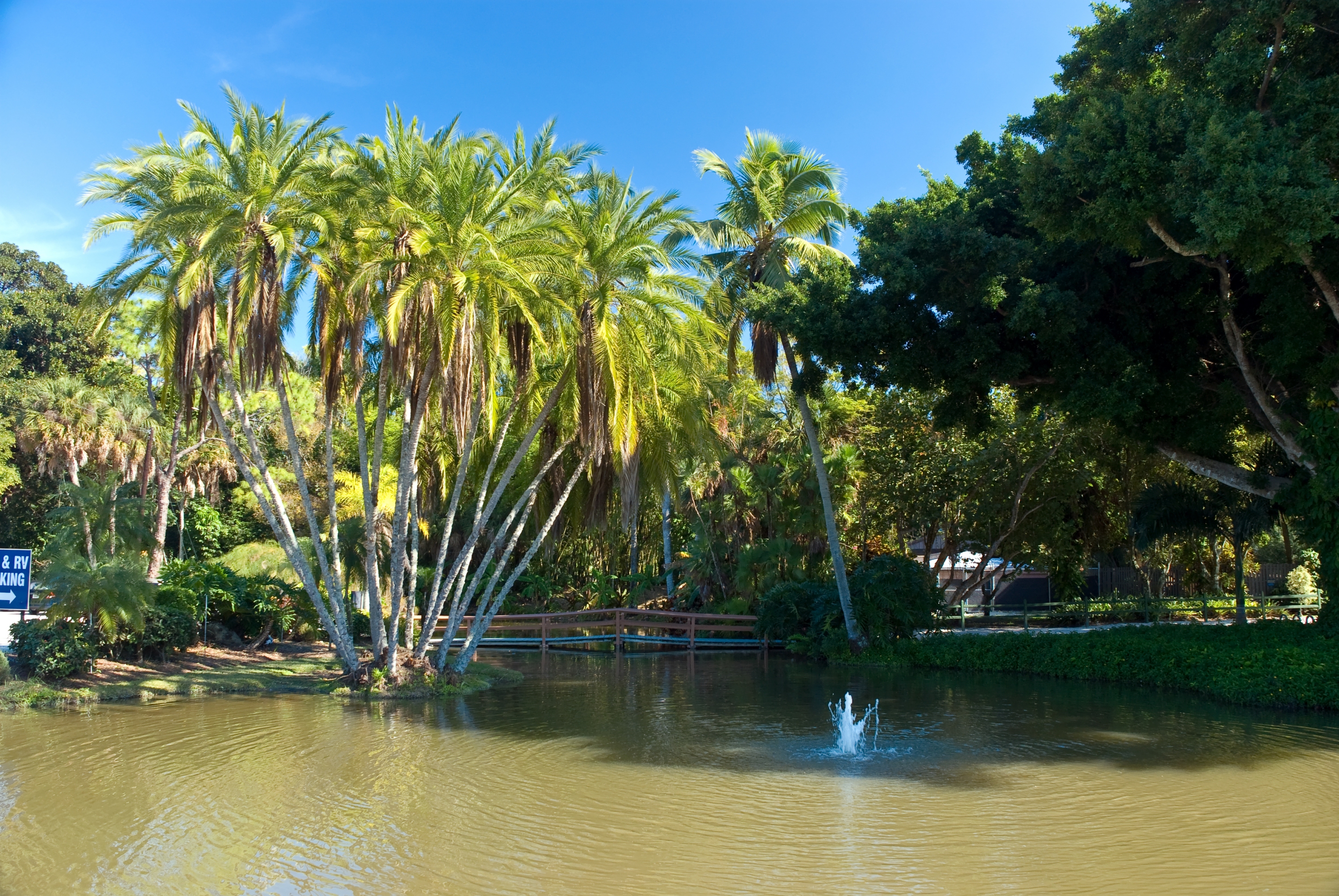 visit the naples zoo at caribbean gardens