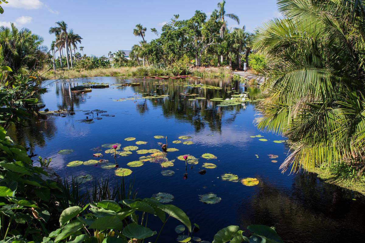 Naples Botanical Garden Cape Coral